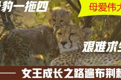 开云平台-瓦伦西亚艰难求胜:是否能够打破连败劣势？的简单介绍