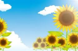 开云体育在线-夏尔图队全力备战，力争长远发展