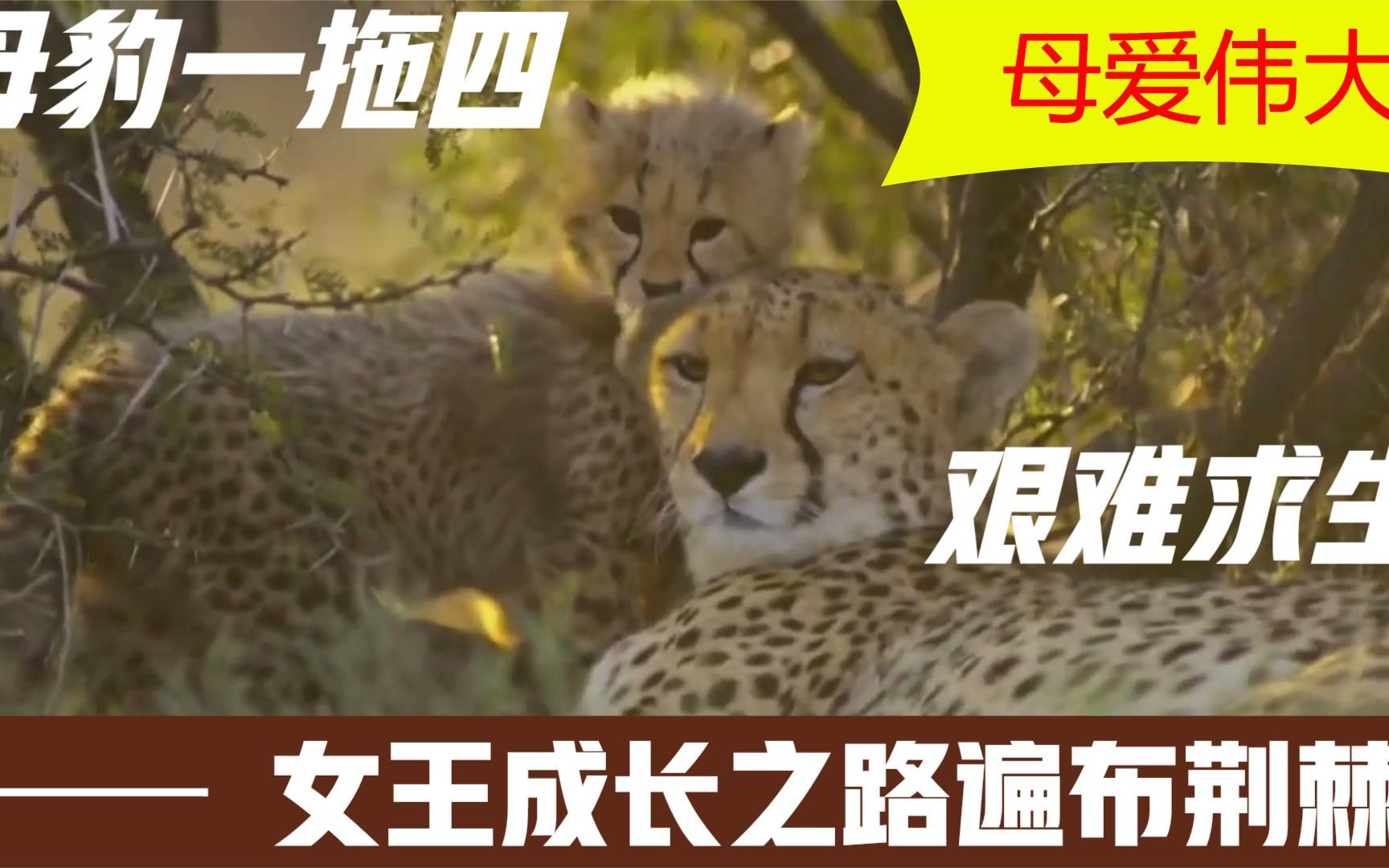 瓦伦西亚艰难求胜:是否能够打破连败劣势？的简单介绍