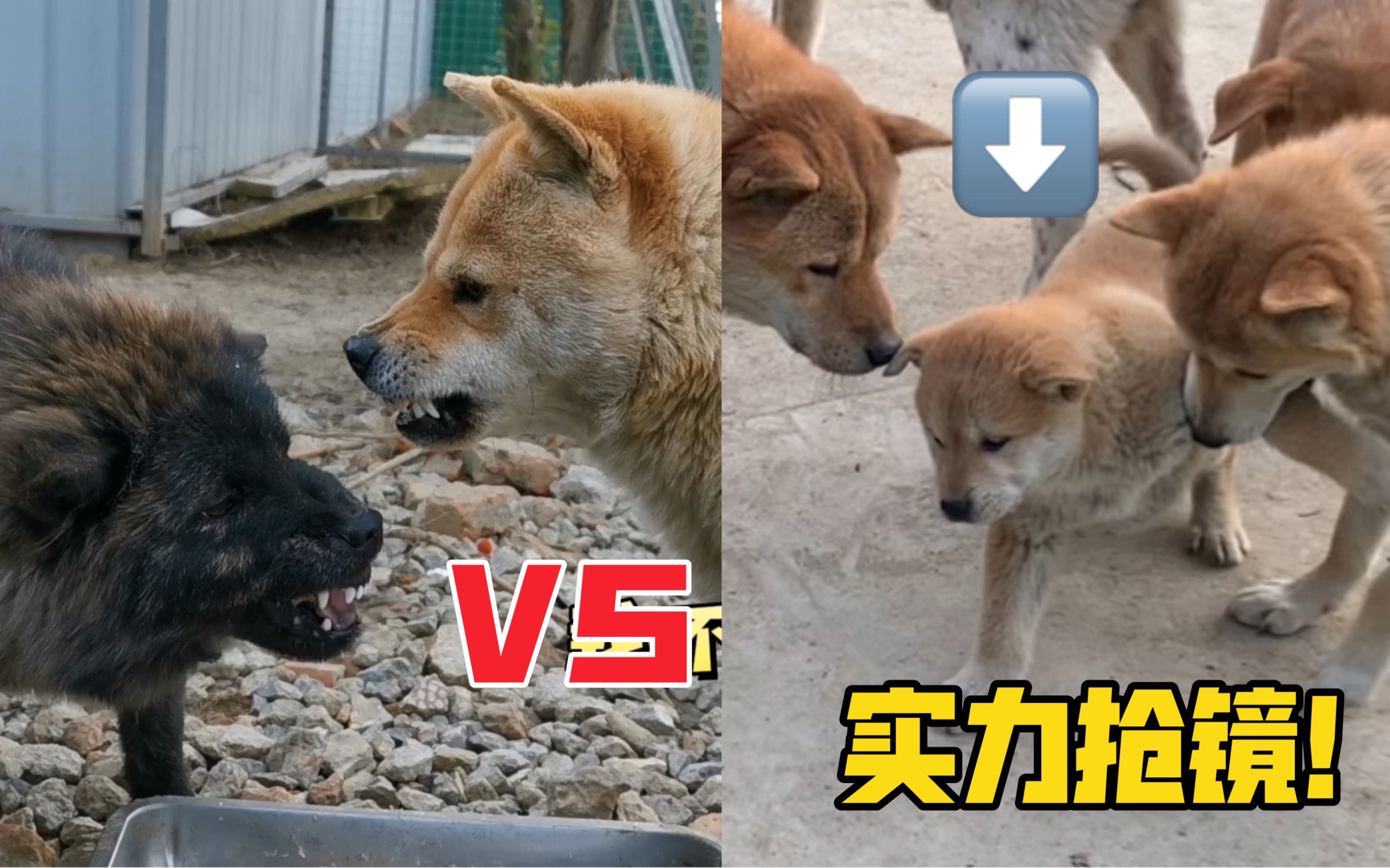 挑战重重！球队实力对比一触即发