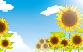 夏尔图队全力备战，力争长远发展