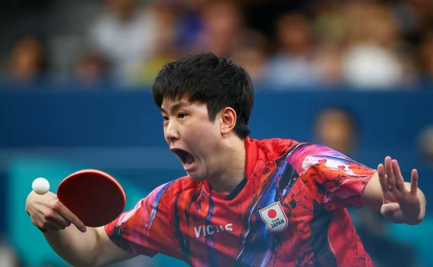 包含波兰乒乓球队翻盘瑞典乒乓球队，许昕统治全场的词条